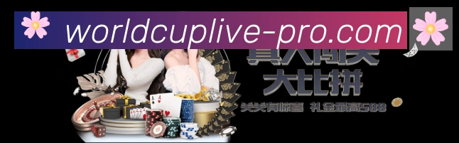互动解说服务